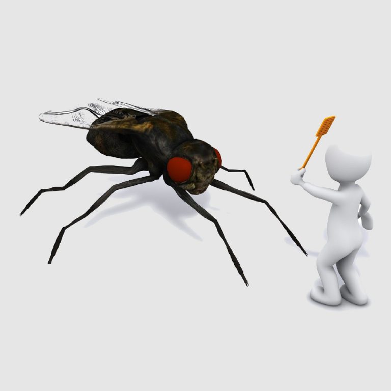 Une petite figure humaine brandit une flèche en face d'une mouche géante.